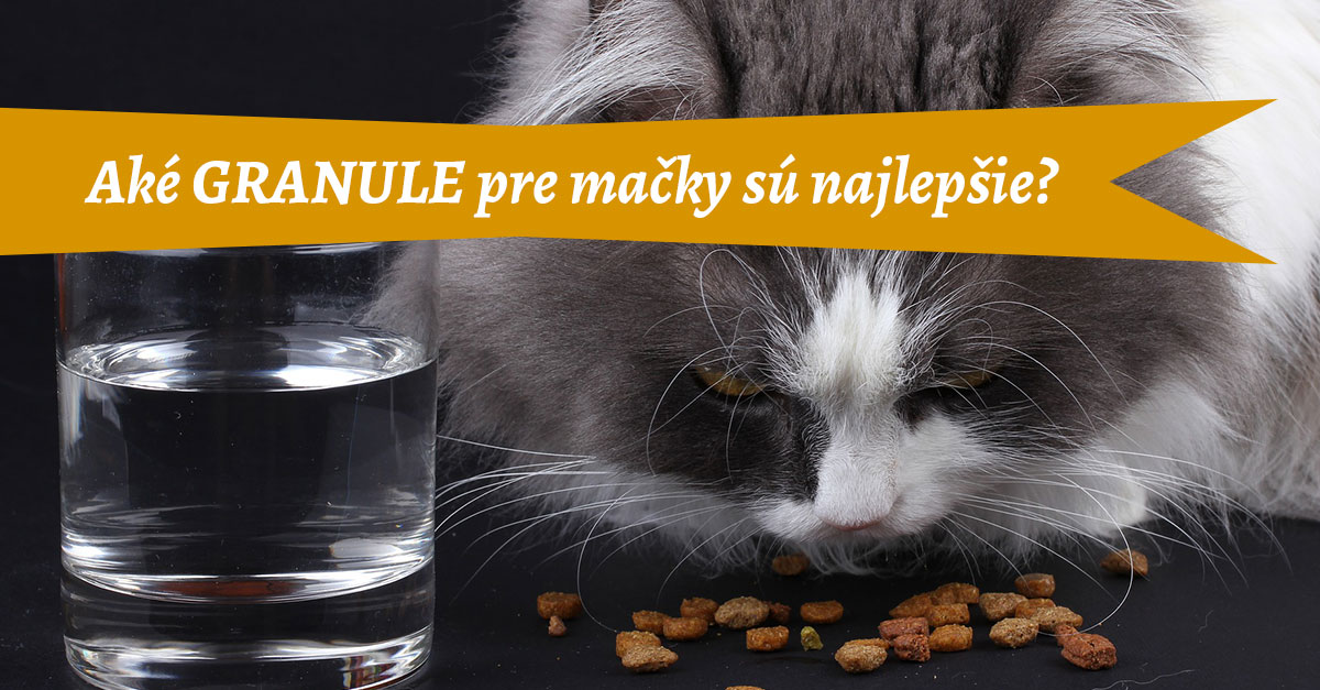 Granule pre psov a mačky boli rozdelené do kategórii: suché krmivá, mokré krmivá, veterinárne krmivá.